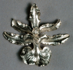 Orchid Pin or Pendant